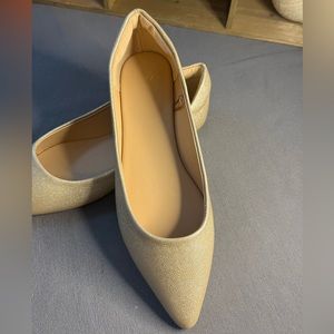 Women's Pointed Toe Ballet Flats in Shimmery Beige